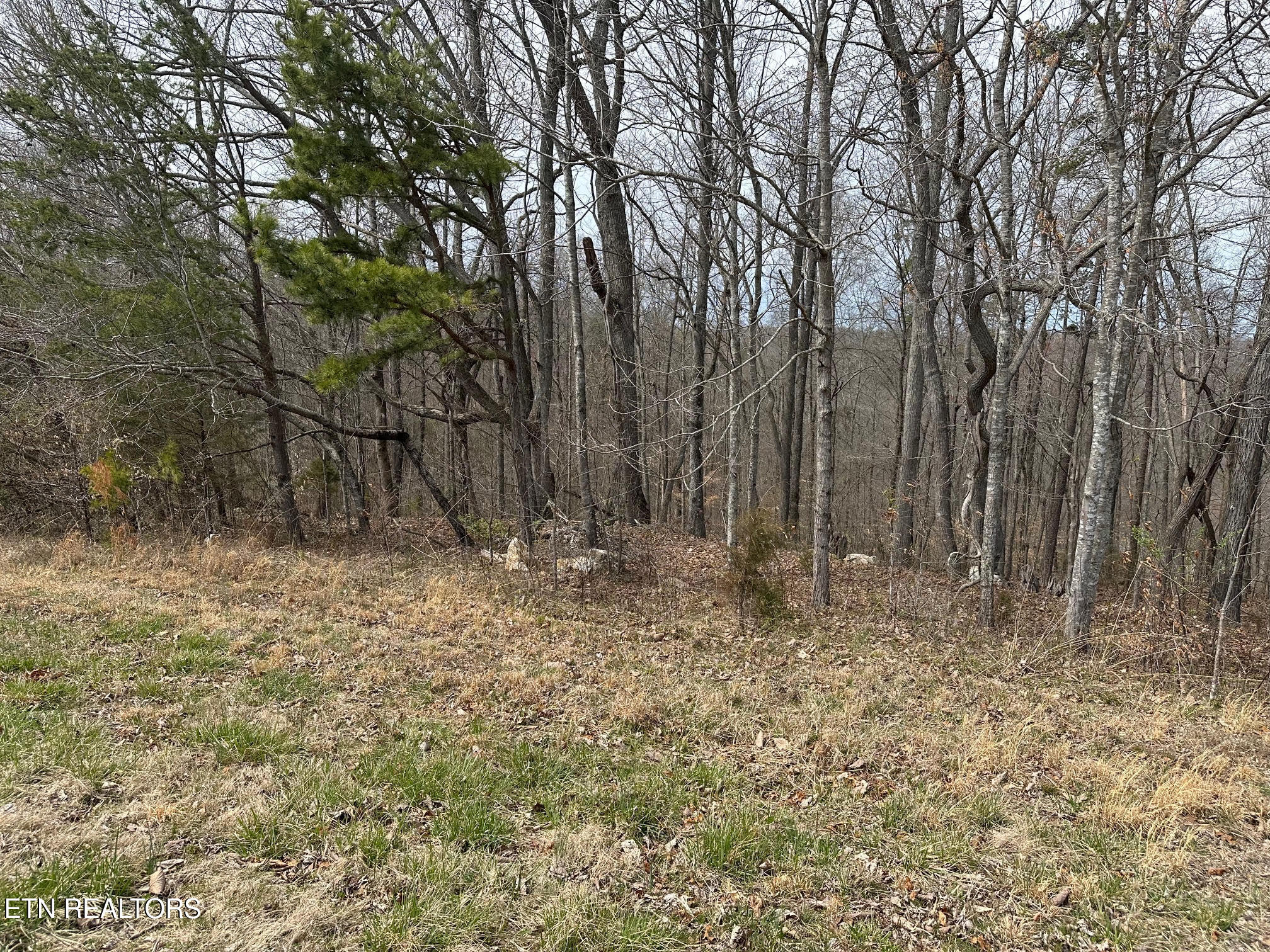 Lot 605 North Two Rivers Lane La Follette, TN 37766 - Photo 6 of 18 Lot 605 3