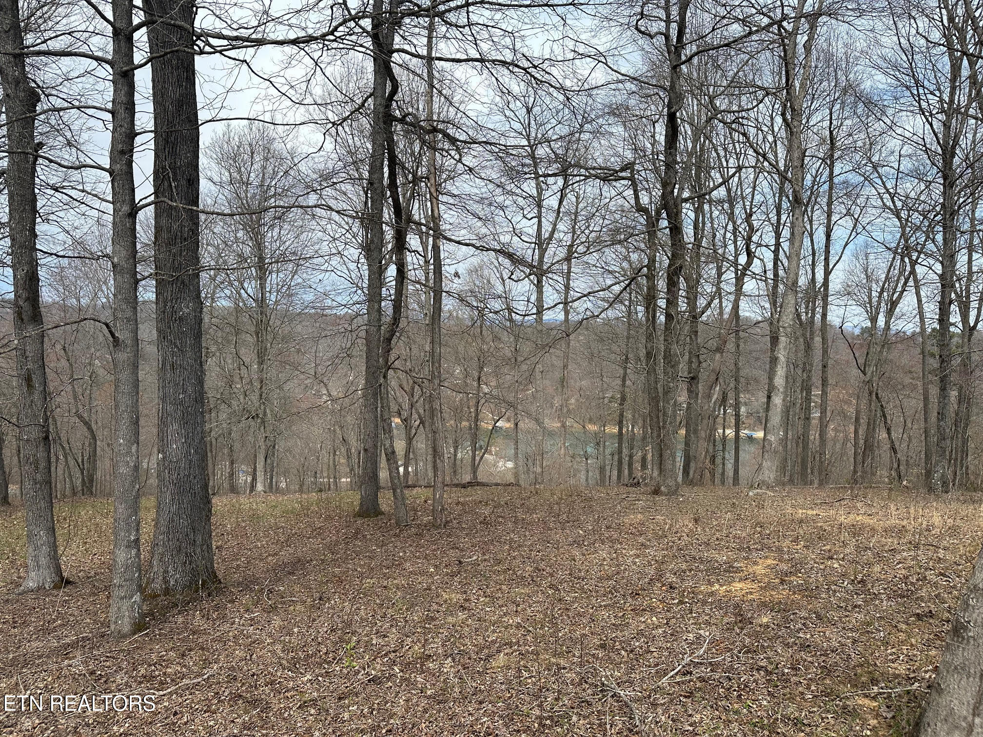 Lot 605 North Two Rivers Lane La Follette, TN 37766 - Photo 7 of 18 Lot 605 4