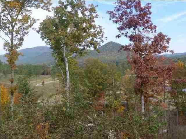169 Bob White Road Ocoee, TN 37361 - Photo 17 of 20 Gallery Image 17