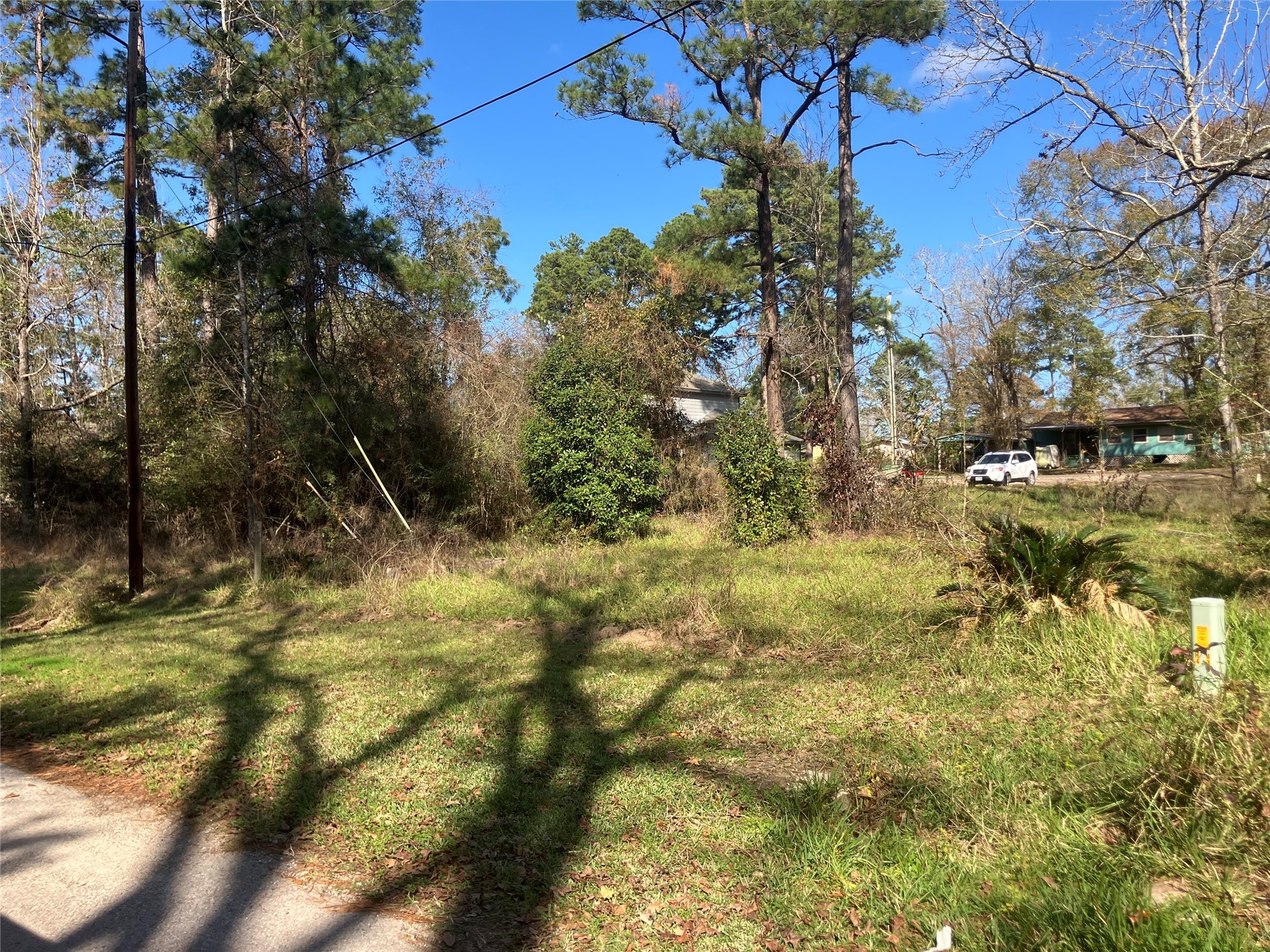 171 Cherry Tree Livingston, TX 77351 - Photo 2 of 10 a view of a yard with a tree