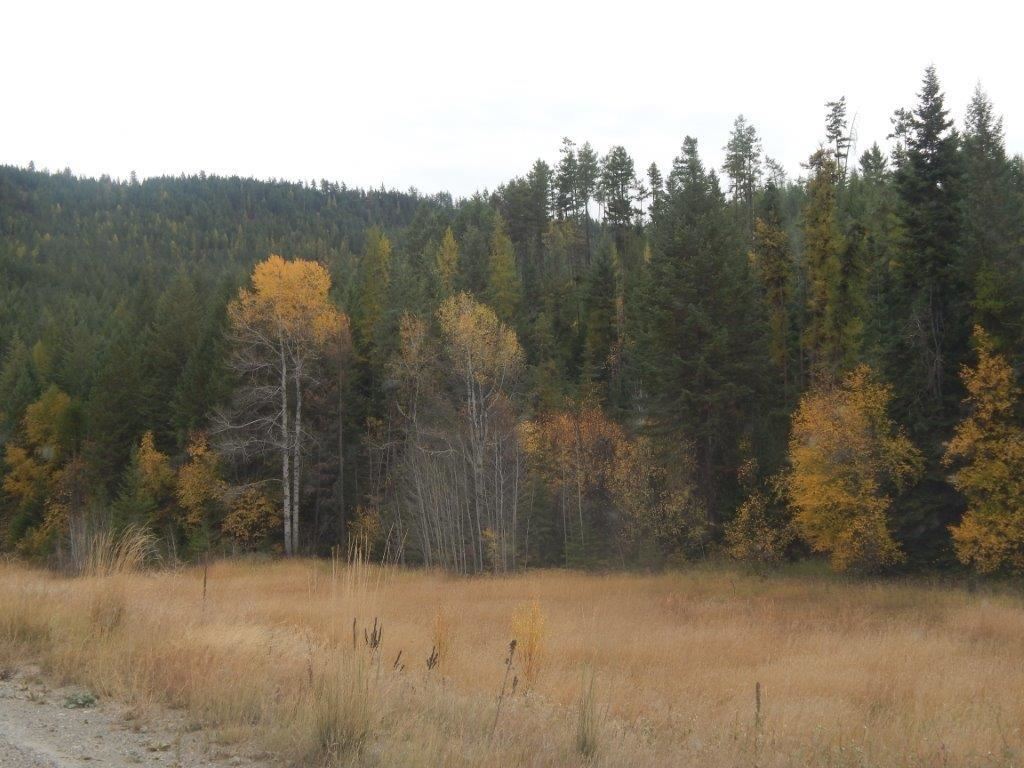 4186 Lessig Road Hunters, WA 99137 - Photo 1 of 3