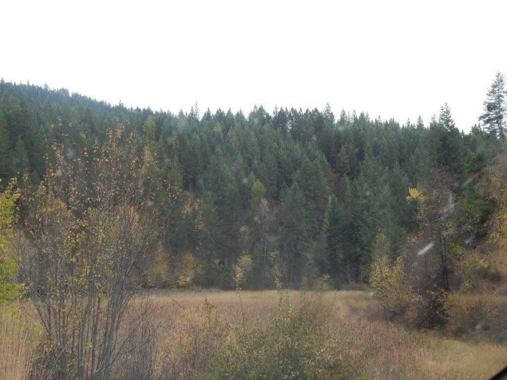 4186 Lessig Road Hunters, WA 99137 - Photo 3 of 3