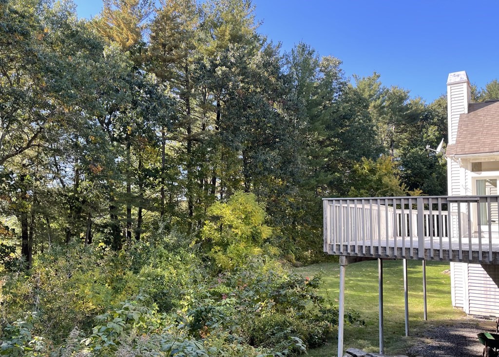 278 Plainfield Road Concord, MA 01742 - Photo 10 of 39 Gallery Image 10
