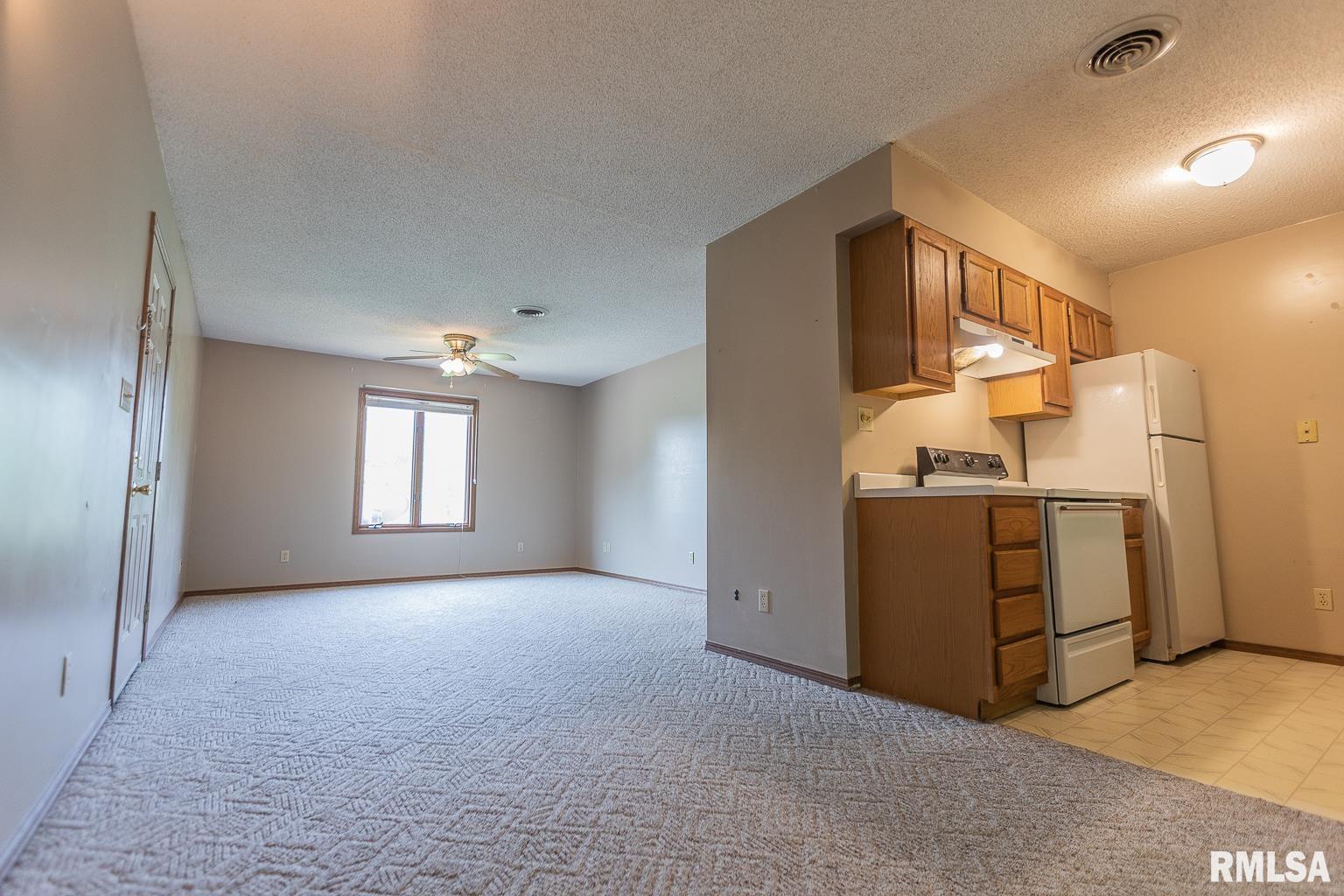 53 Rocking Chair Drive Murphysboro, IL 62966 - Photo 2 of 42