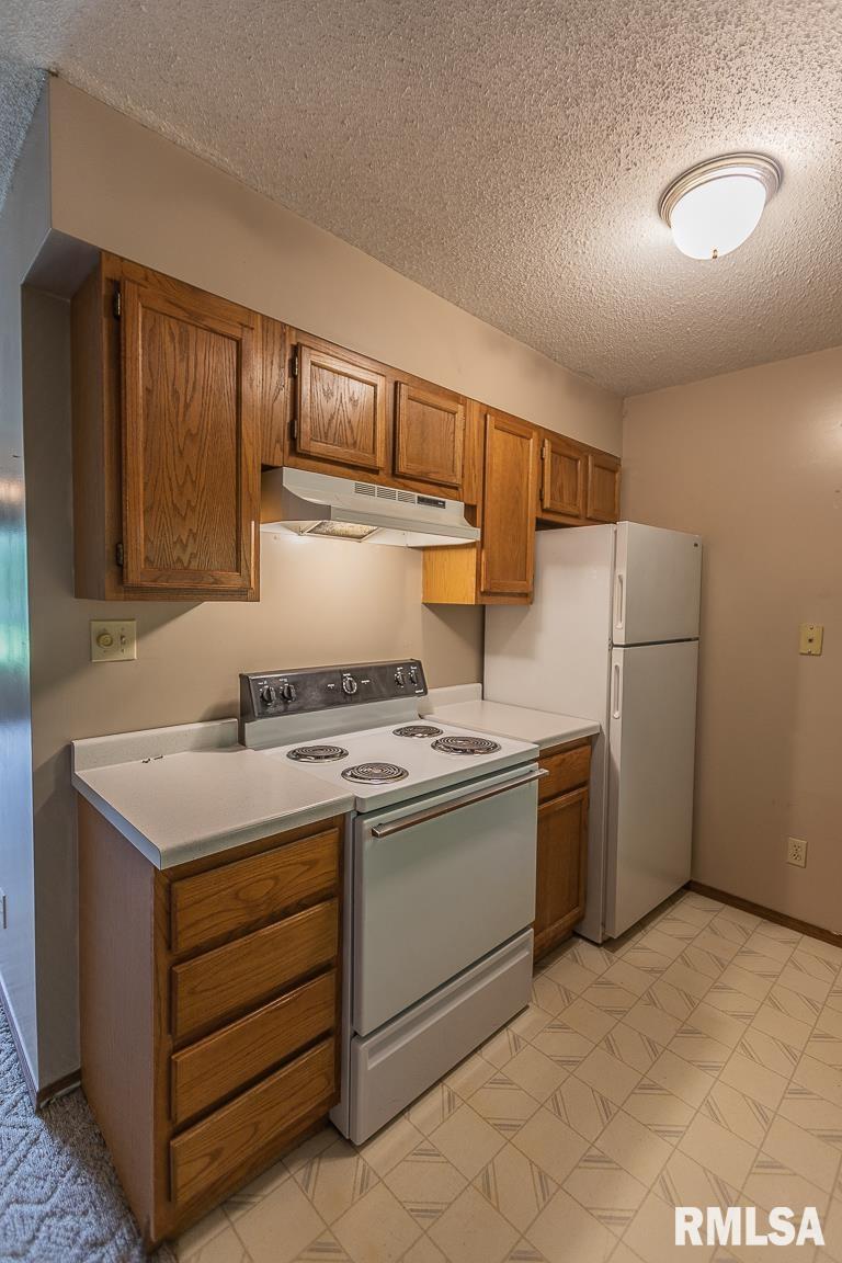 53 Rocking Chair Drive Murphysboro, IL 62966 - Photo 6 of 42