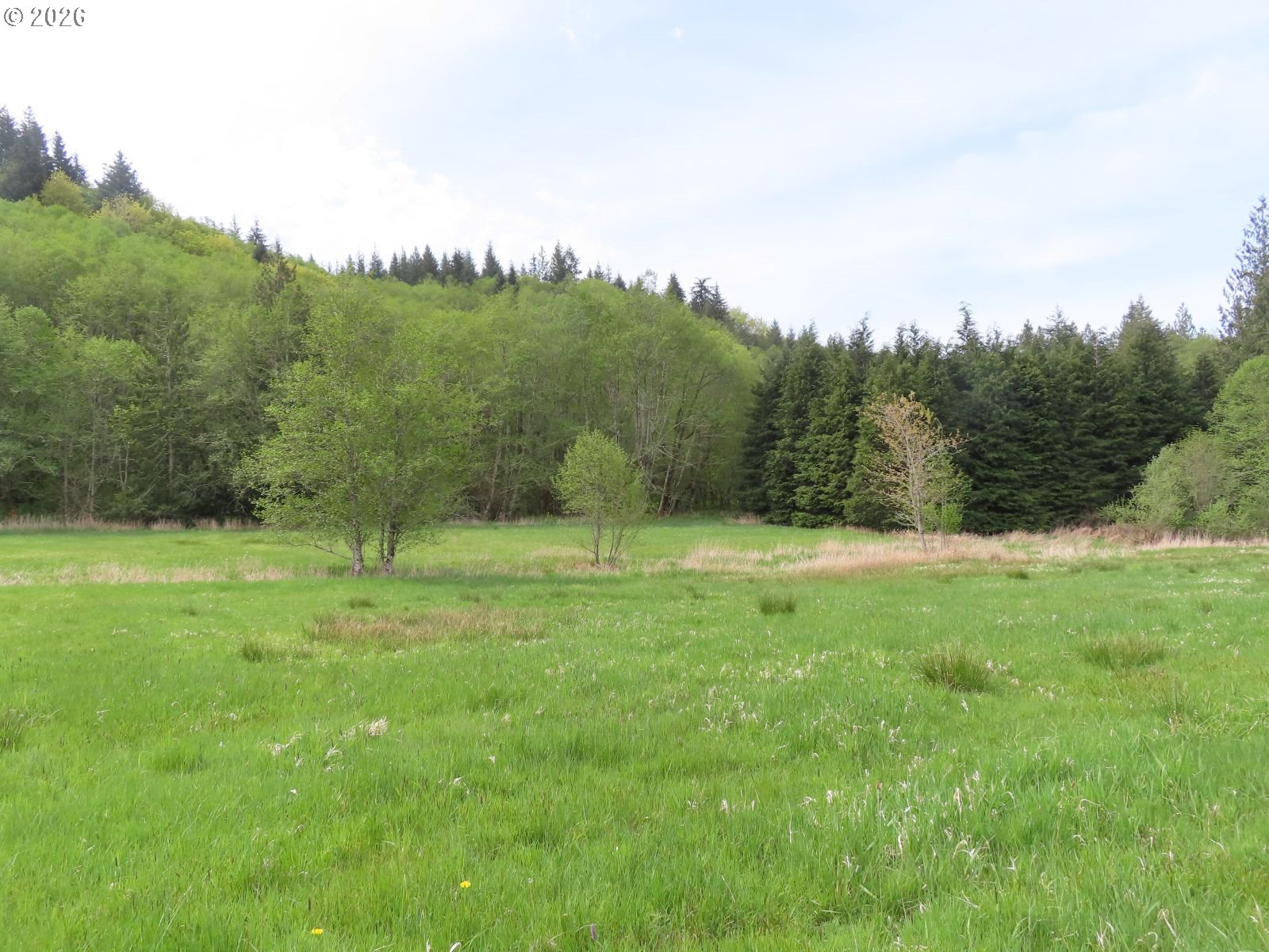 Hagen Road Mossyrock, WA 98564 - Photo 23 of 29