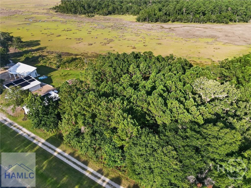 Lot #23 Barnstorm Road Townsend, GA 31331 - Photo 2 of 7 Gallery Image 2