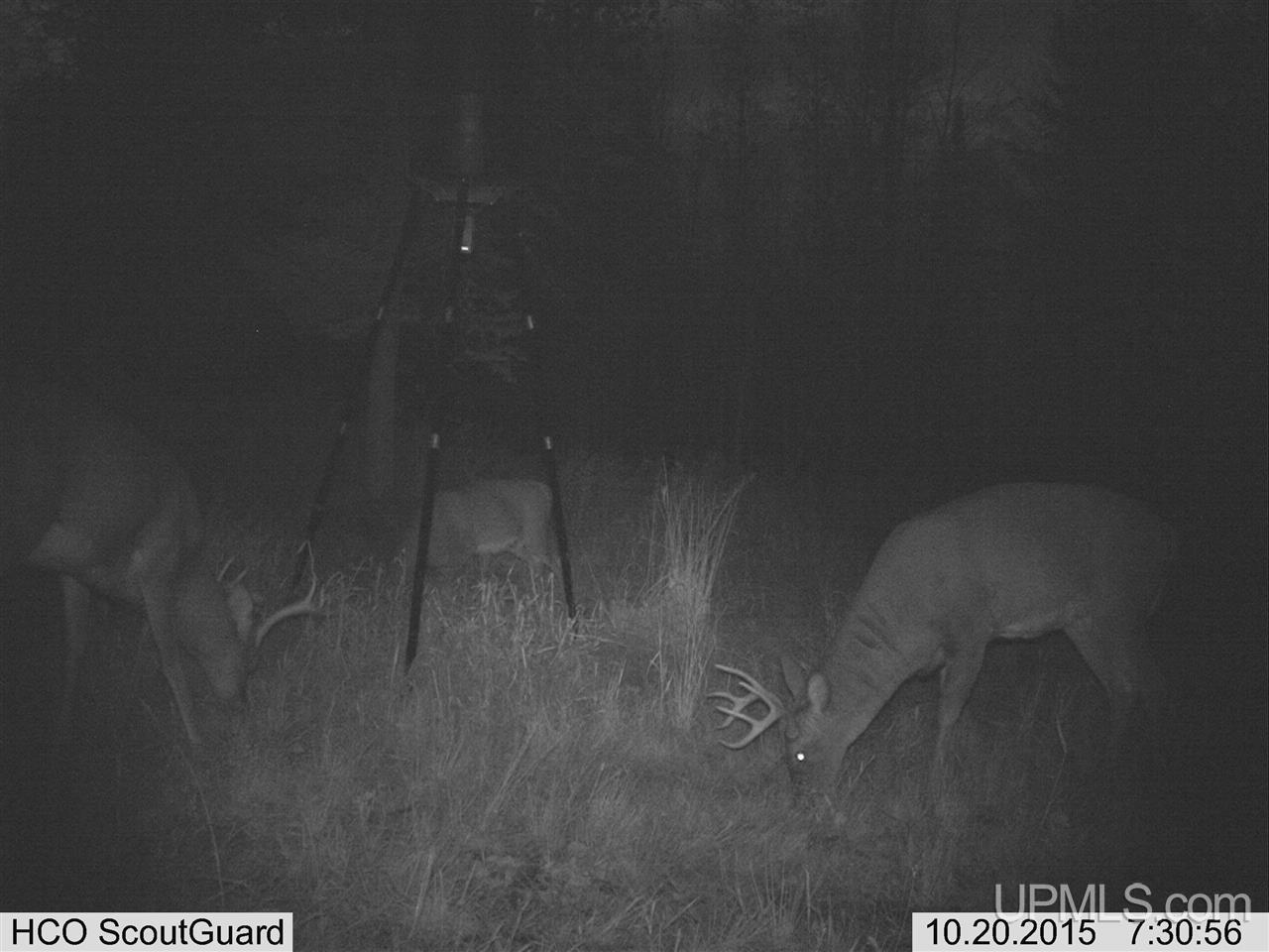 5902 Co Rd 511 Rapid River, MI 49878 - Photo 18 of 21