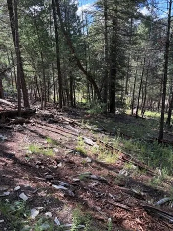 $39,900 | Dry Canyon Road, Cloudcroft, NM 88317