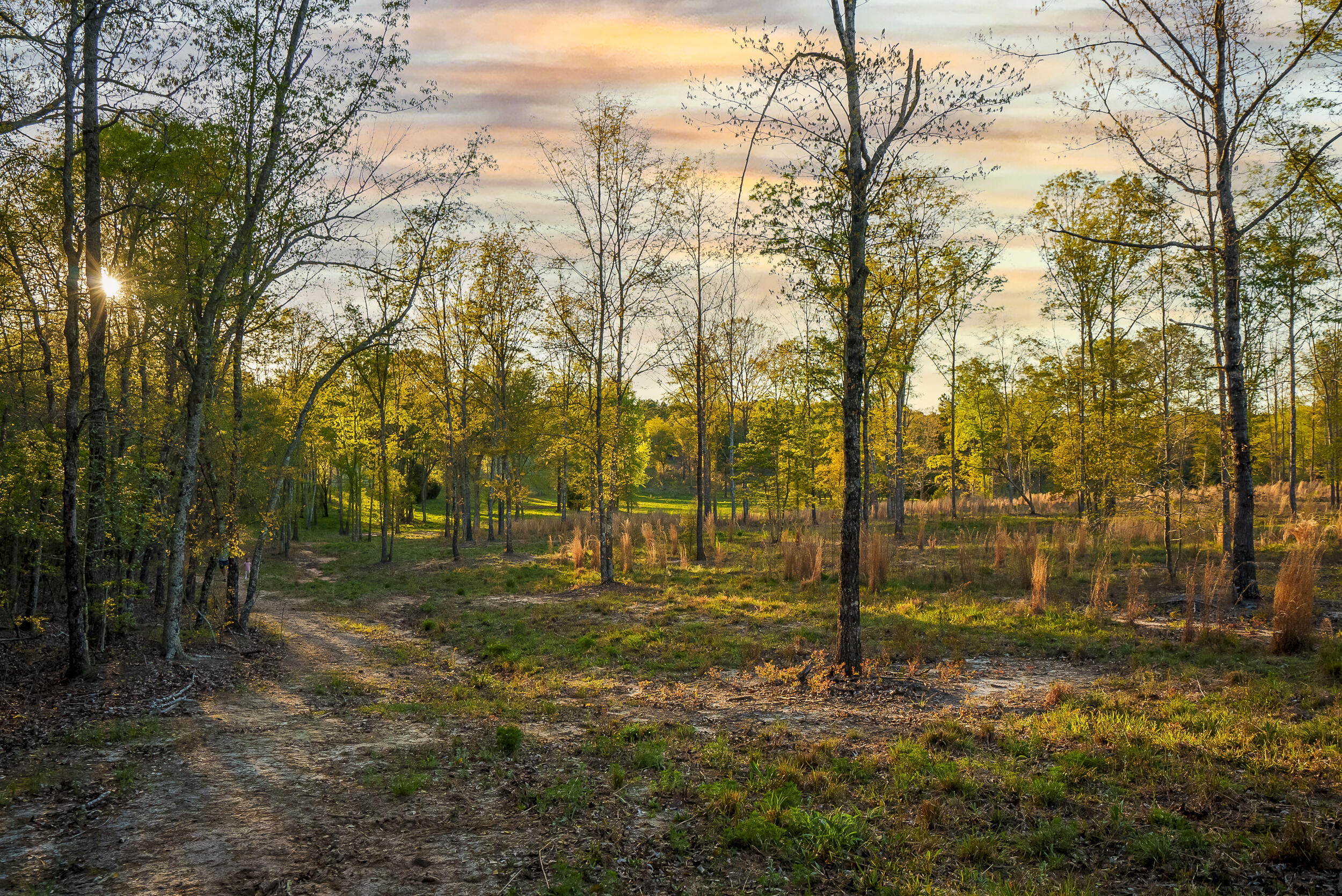 0 Implement Road Aiken, SC 29803 - Photo 7 of 38 a backyard of a house with lots of green space