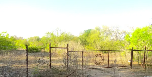 a backyard of a house with lots of trees