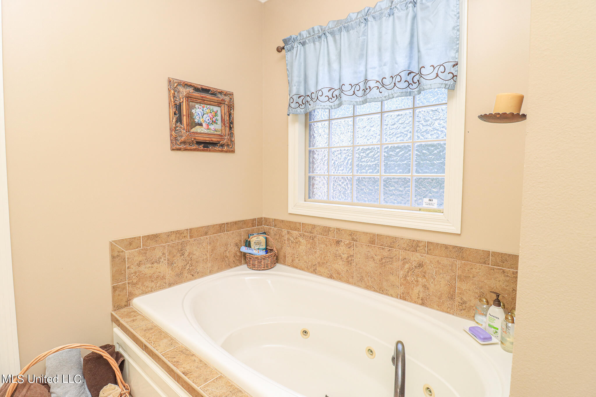 204 Kitty Hawk Circle Brandon, MS 39047 - Photo 25 of 56 204 Kitty Hawk Cir 24