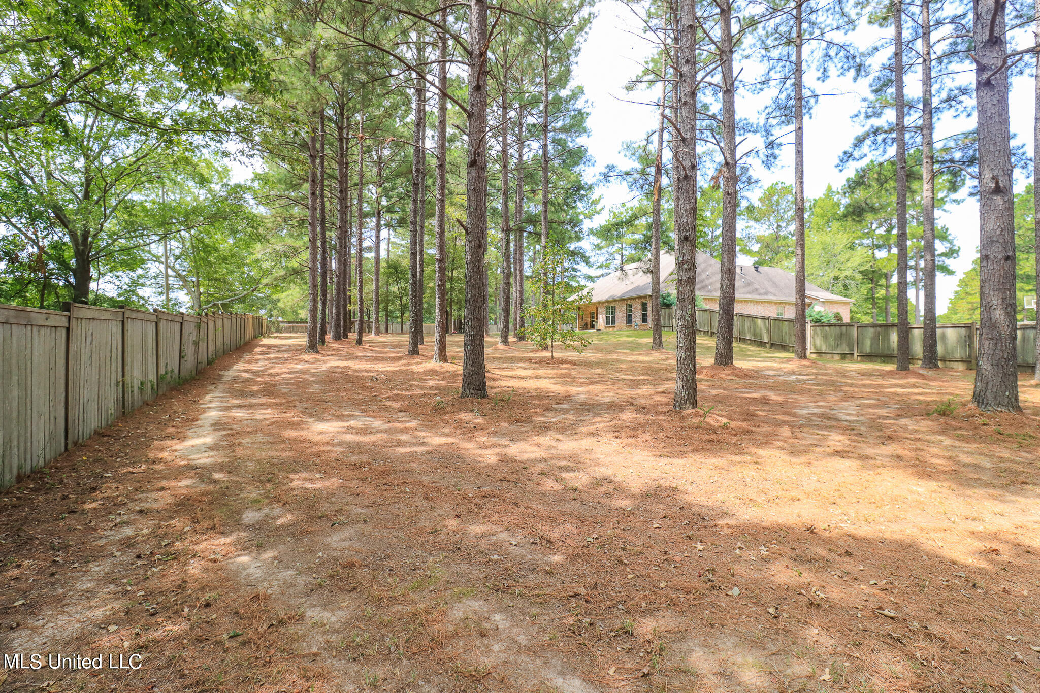 204 Kitty Hawk Circle Brandon, MS 39047 - Photo 50 of 56 204 Kitty Hawk Cir 44