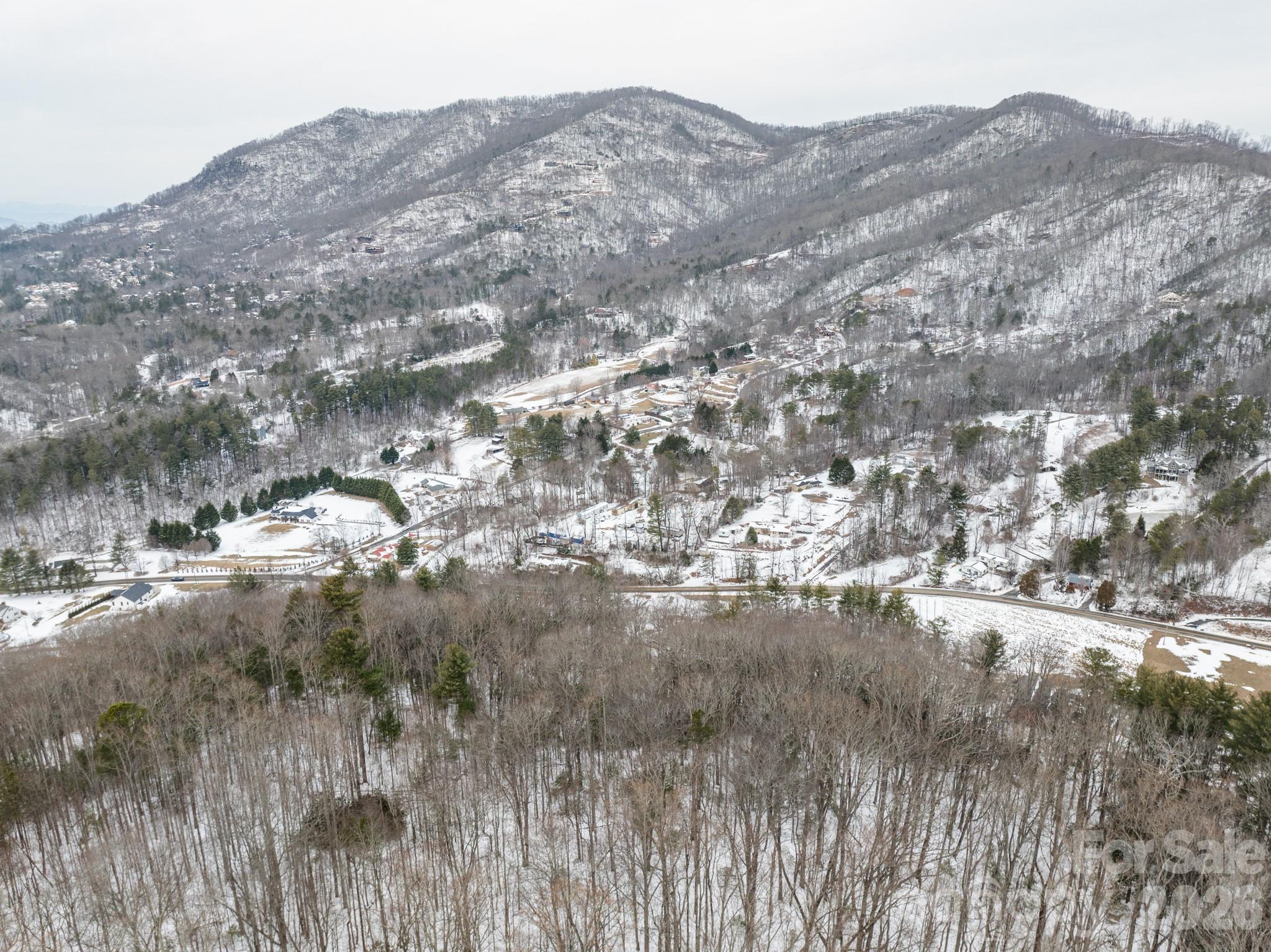 999999 Old Fort Road Fairview, NC 28730 - Photo 6 of 7