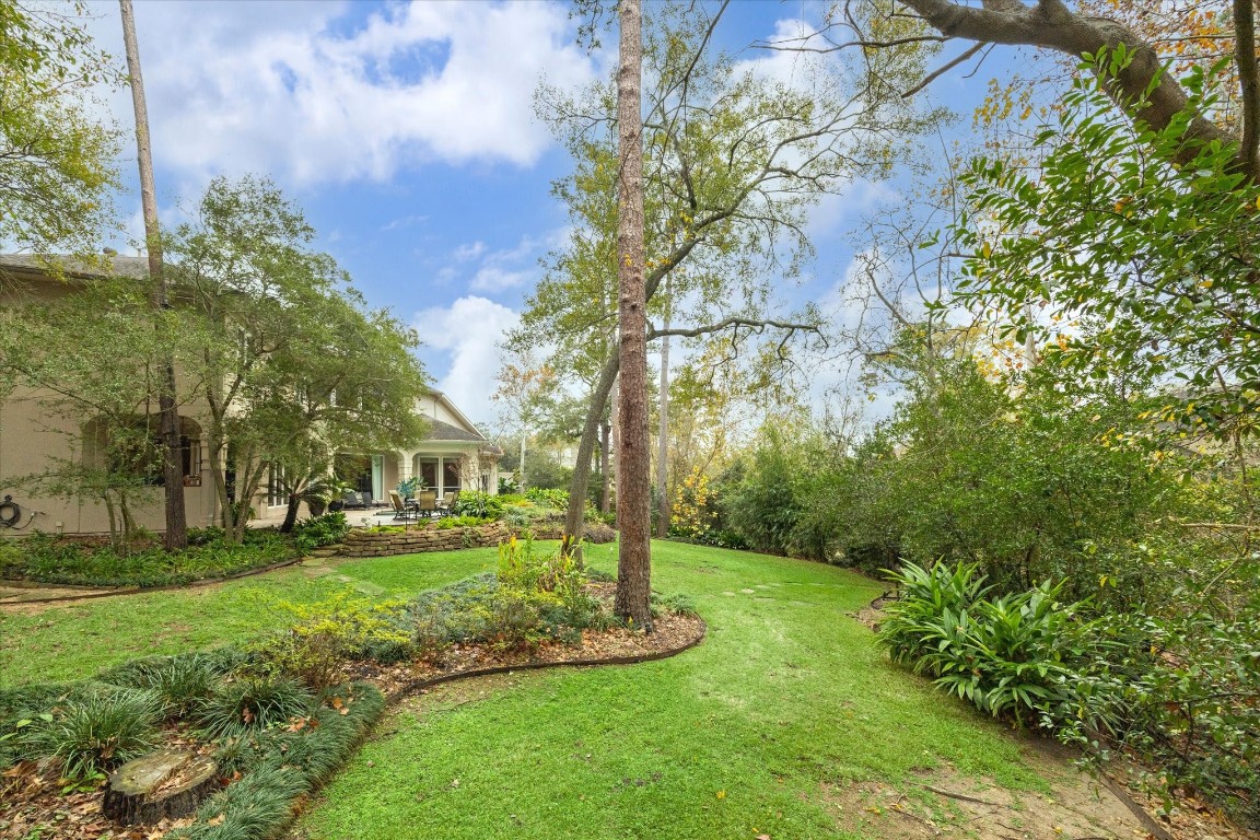 6 Mott Lane Houston, TX 77024 - Photo 46 of 49 Side yard with lush landscaping