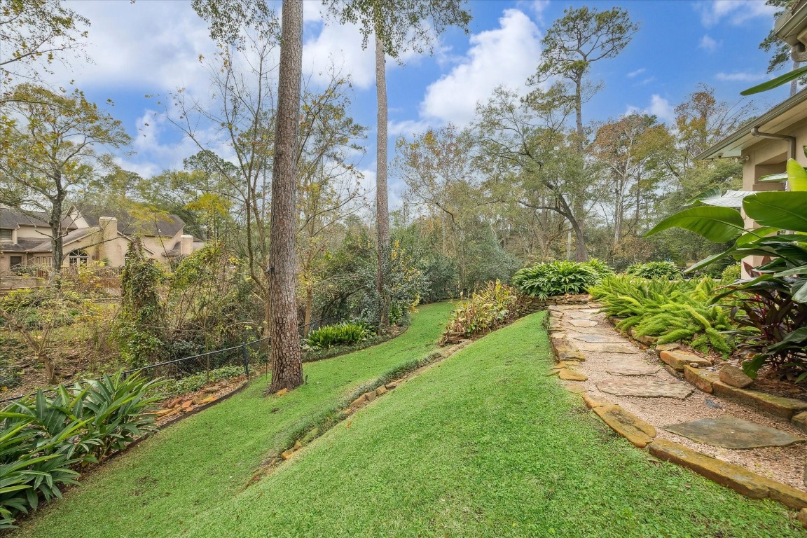 6 Mott Lane Houston, TX 77024 - Photo 47 of 49 Side yard