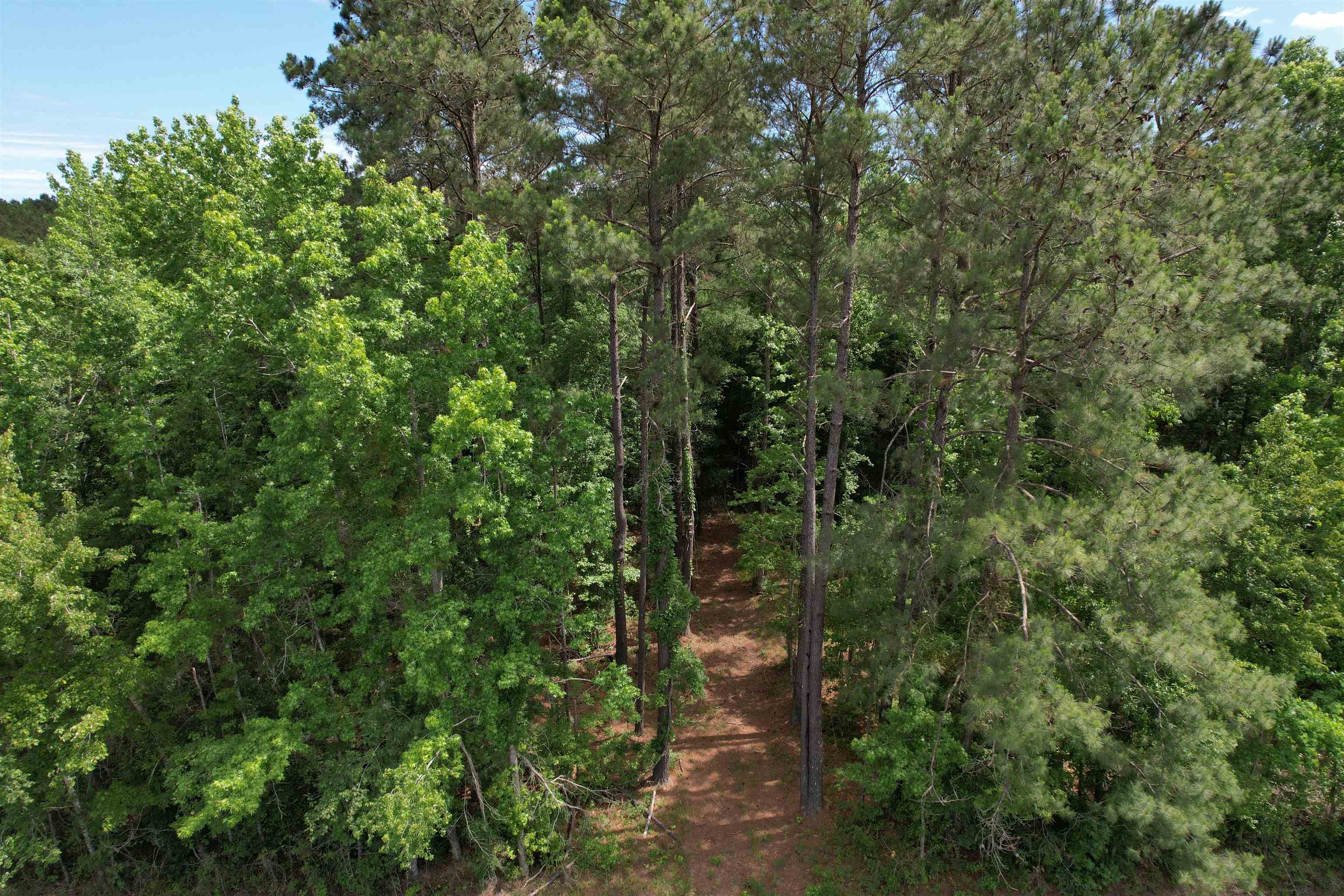 5871 Pennyroyal Road Georgetown, SC 29440 - Photo 6 of 15