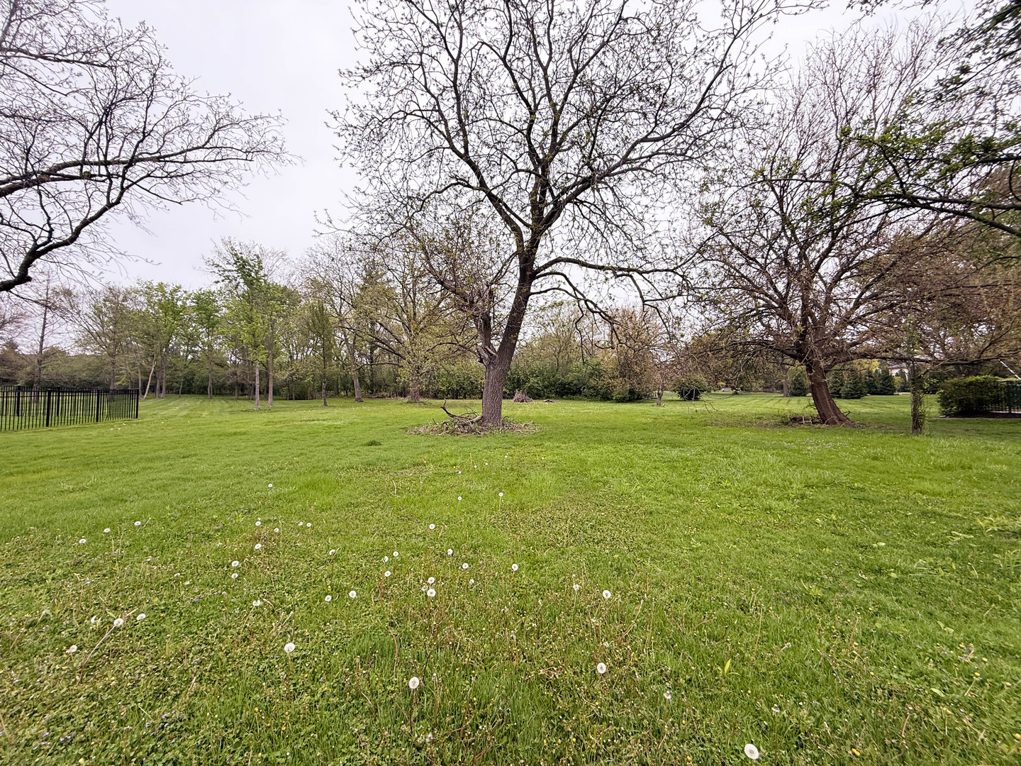 7725 Drew Avenue Burr Ridge, IL 60527 - Photo 4 of 5 a view of a field with trees