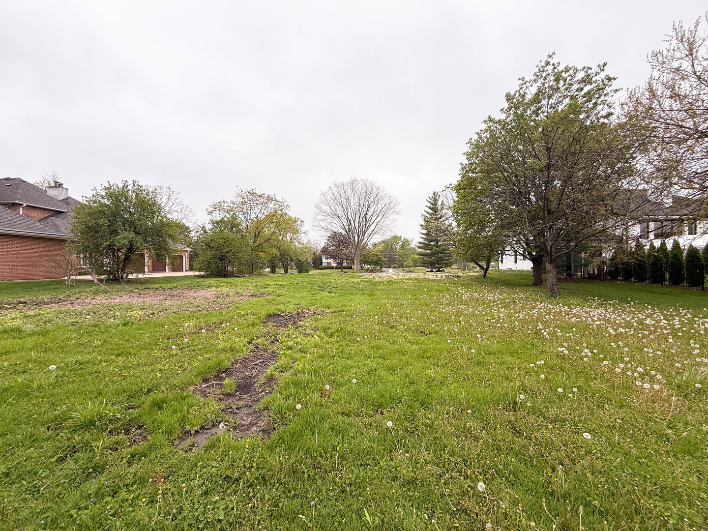 7725 Drew Avenue Burr Ridge, IL 60527 - Photo 5 of 5 a view of grassy field with trees