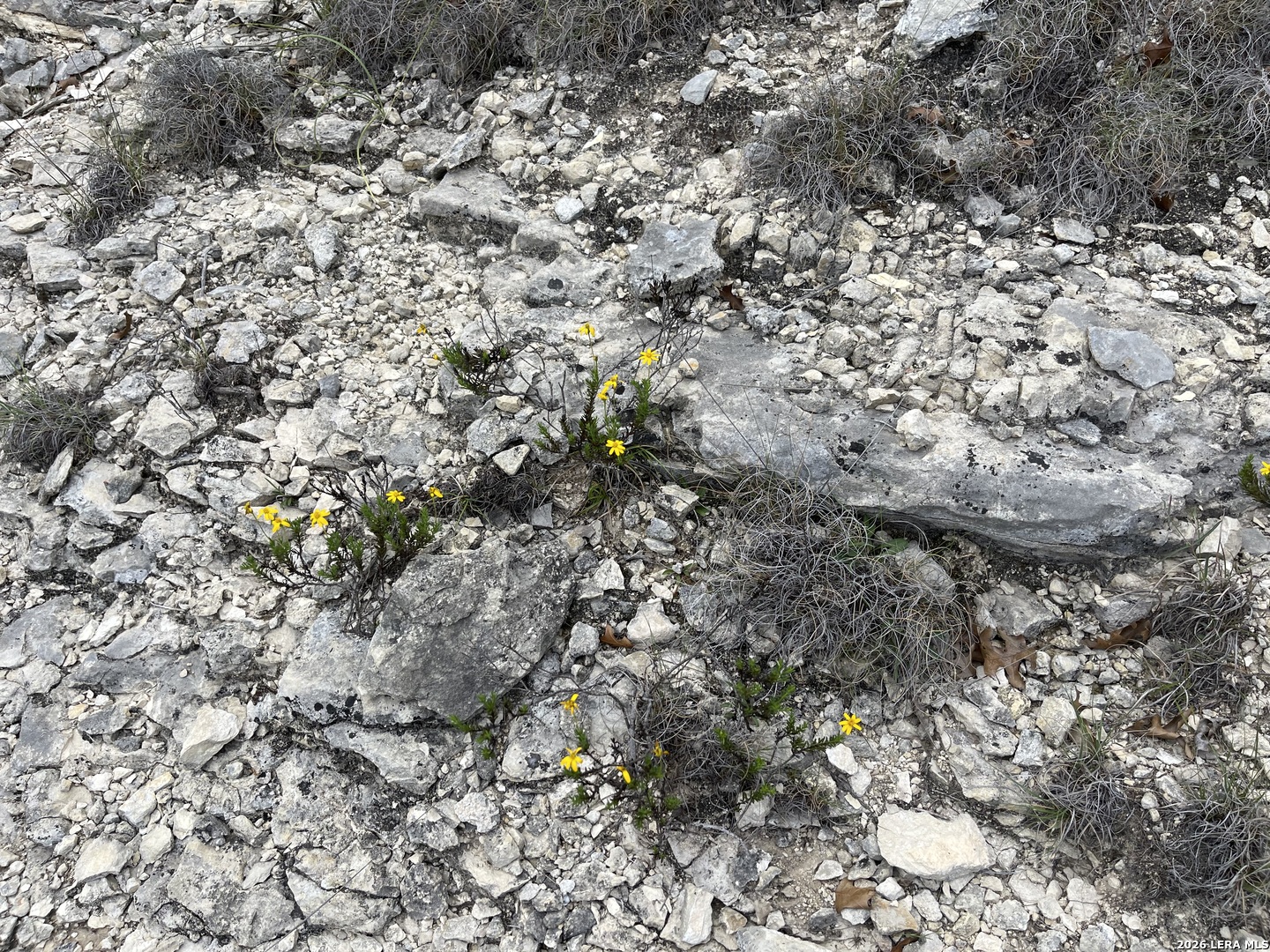 Lot 2 Beacon Road Lakehills, TX 78063 - Photo 7 of 12
