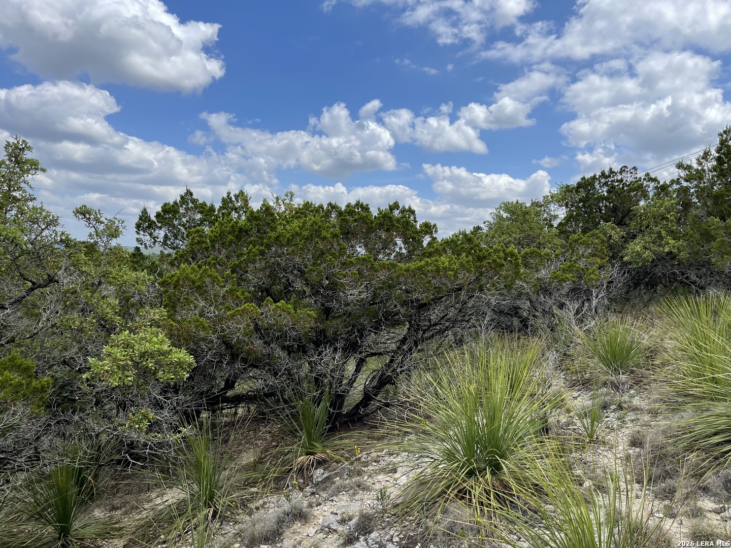 Lot 2 Beacon Road Lakehills, TX 78063 - Photo 8 of 12