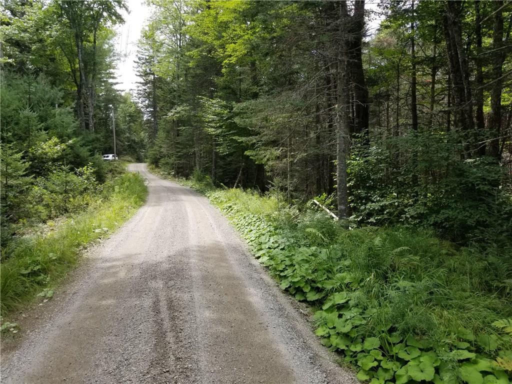 0 Pierce Pond Road Penobscot, ME 04476 - Photo 11 of 12 Photo