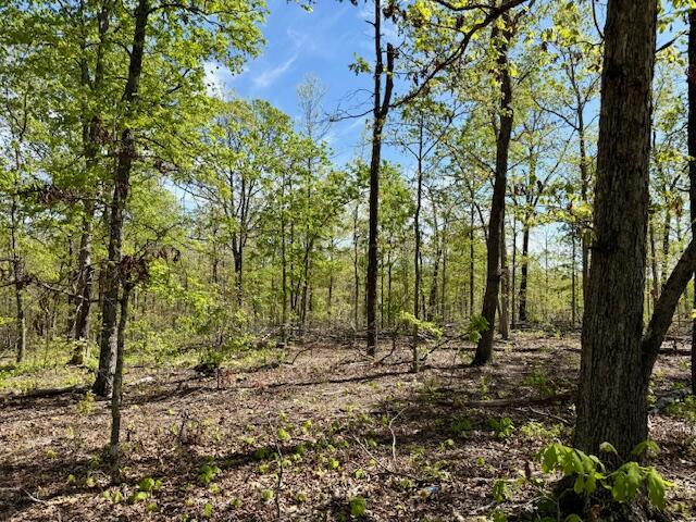 4515 Wallen Road Summersville, MO 65571 - Photo 56 of 74 IMG_5438