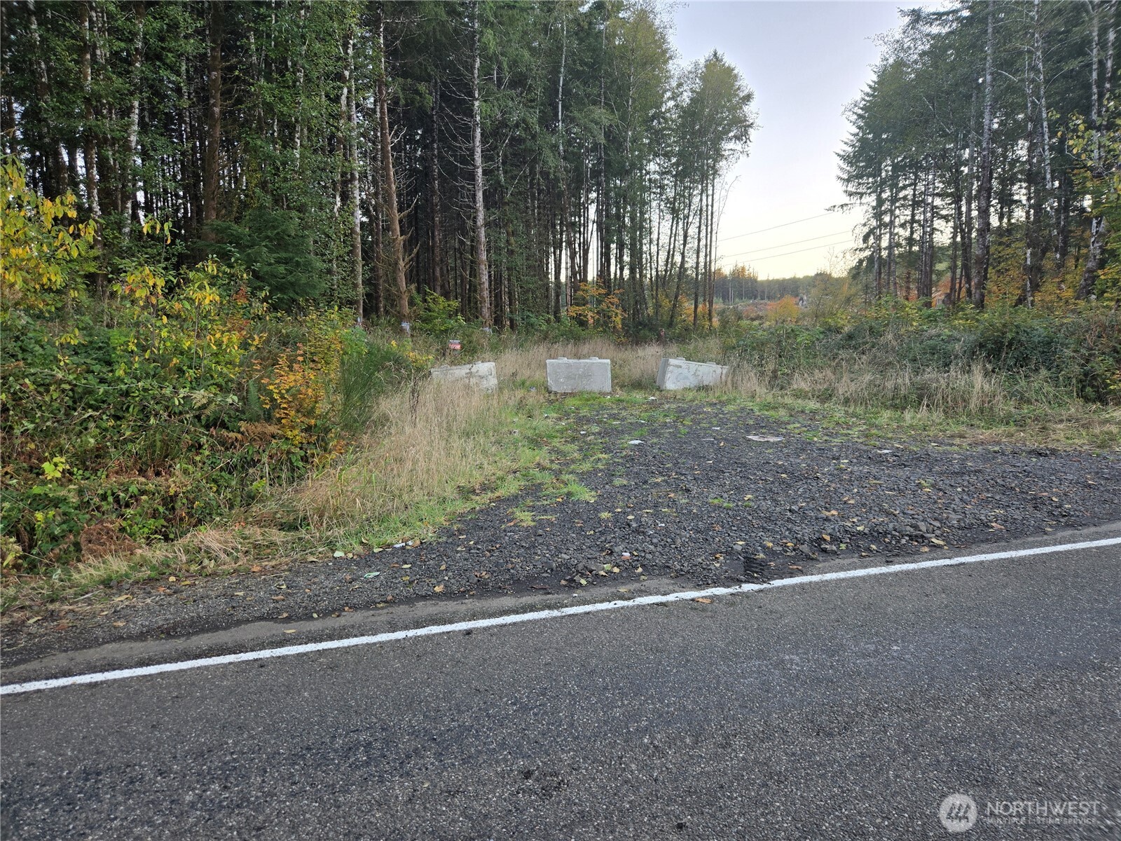 -nka Smith Creek Road Raymond, WA 98577 - Photo 11 of 14 a backyard of a house with lots of green space