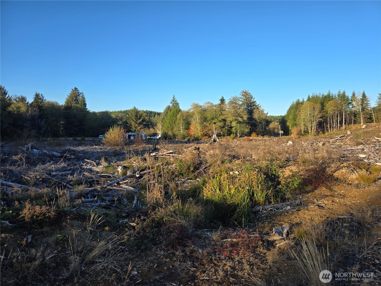 -nka Smith Creek Road Raymond, WA 98577 - Photo 12 of 14 a view of a field with trees in the background