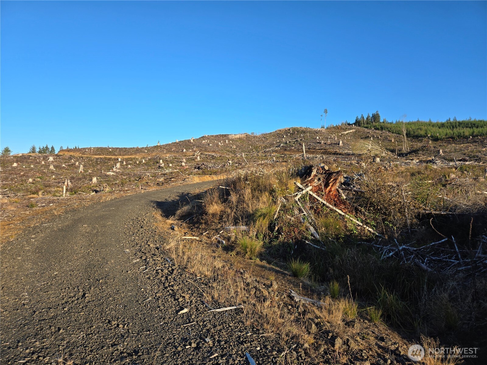 -nka Smith Creek Road Raymond, WA 98577 - Photo 13 of 14 a view of a lake with mountains in the background