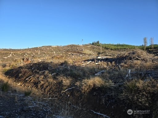 -nka Smith Creek Road Raymond, WA 98577 - Photo 14 of 14 a view of a sky