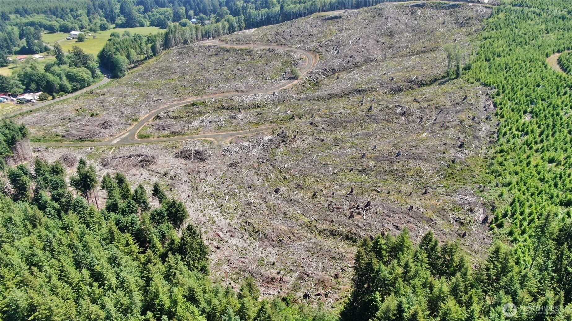 -nka Smith Creek Road Raymond, WA 98577 - Photo 4 of 14 a view of a dry yard with trees