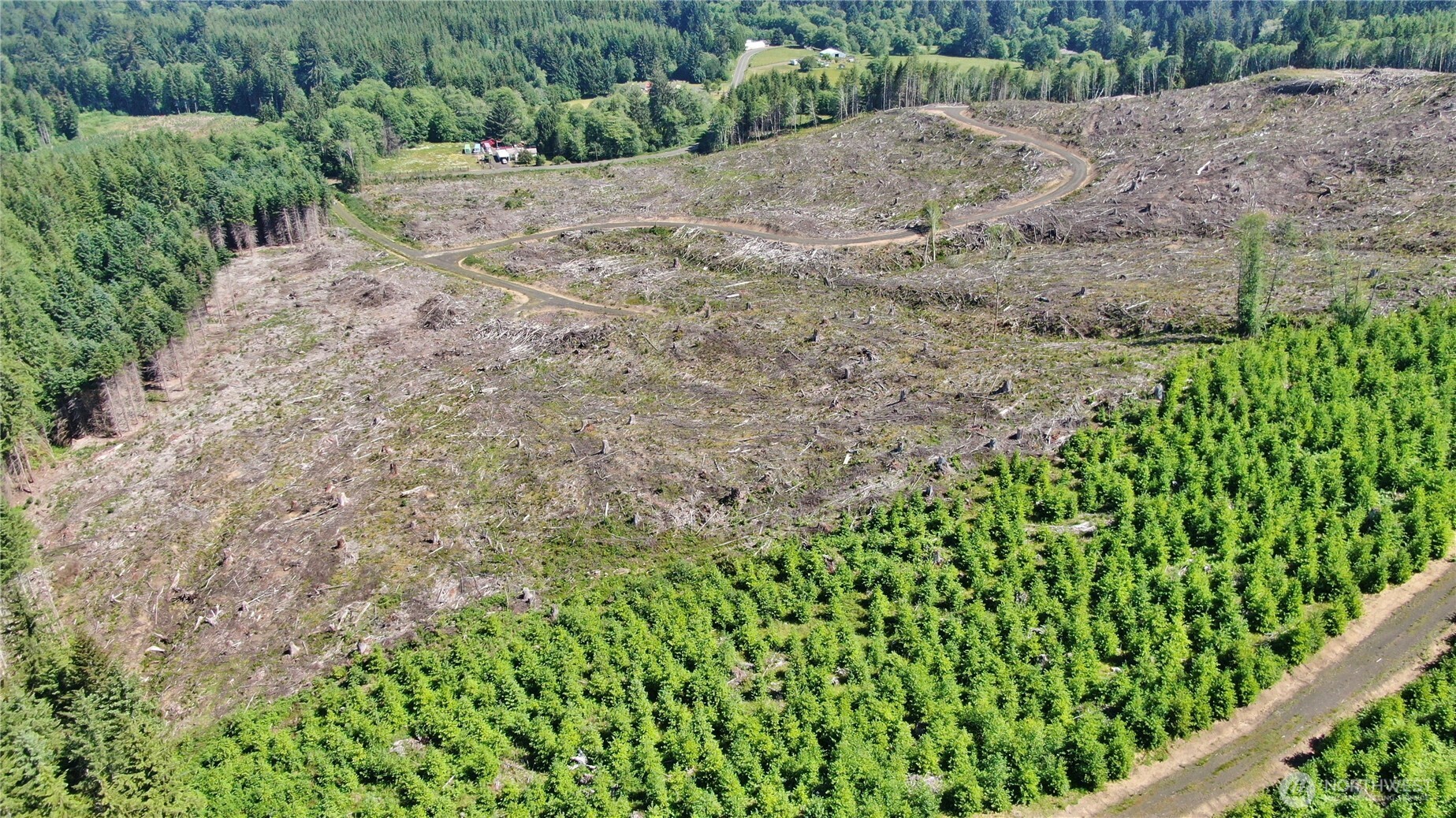 -nka Smith Creek Road Raymond, WA 98577 - Photo 5 of 14 a view of a dry yard with plants and trees