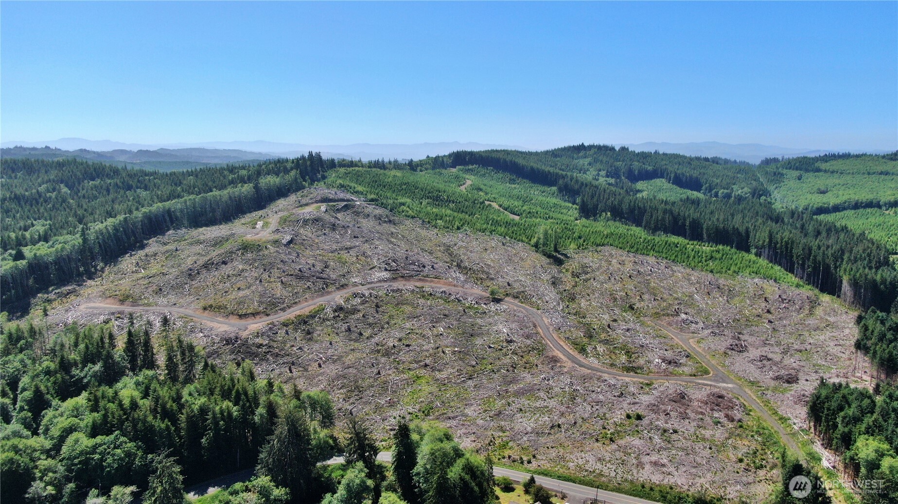 -nka Smith Creek Road Raymond, WA 98577 - Photo 8 of 14 a view of a dry yard with lots of green space