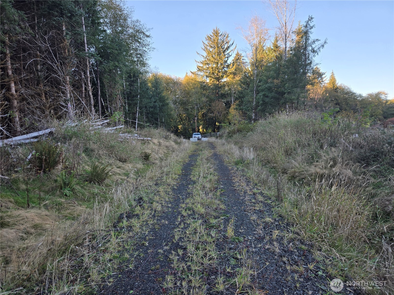 -nka Smith Creek Road Raymond, WA 98577 - Photo 10 of 14 a view of a forest with trees in the background