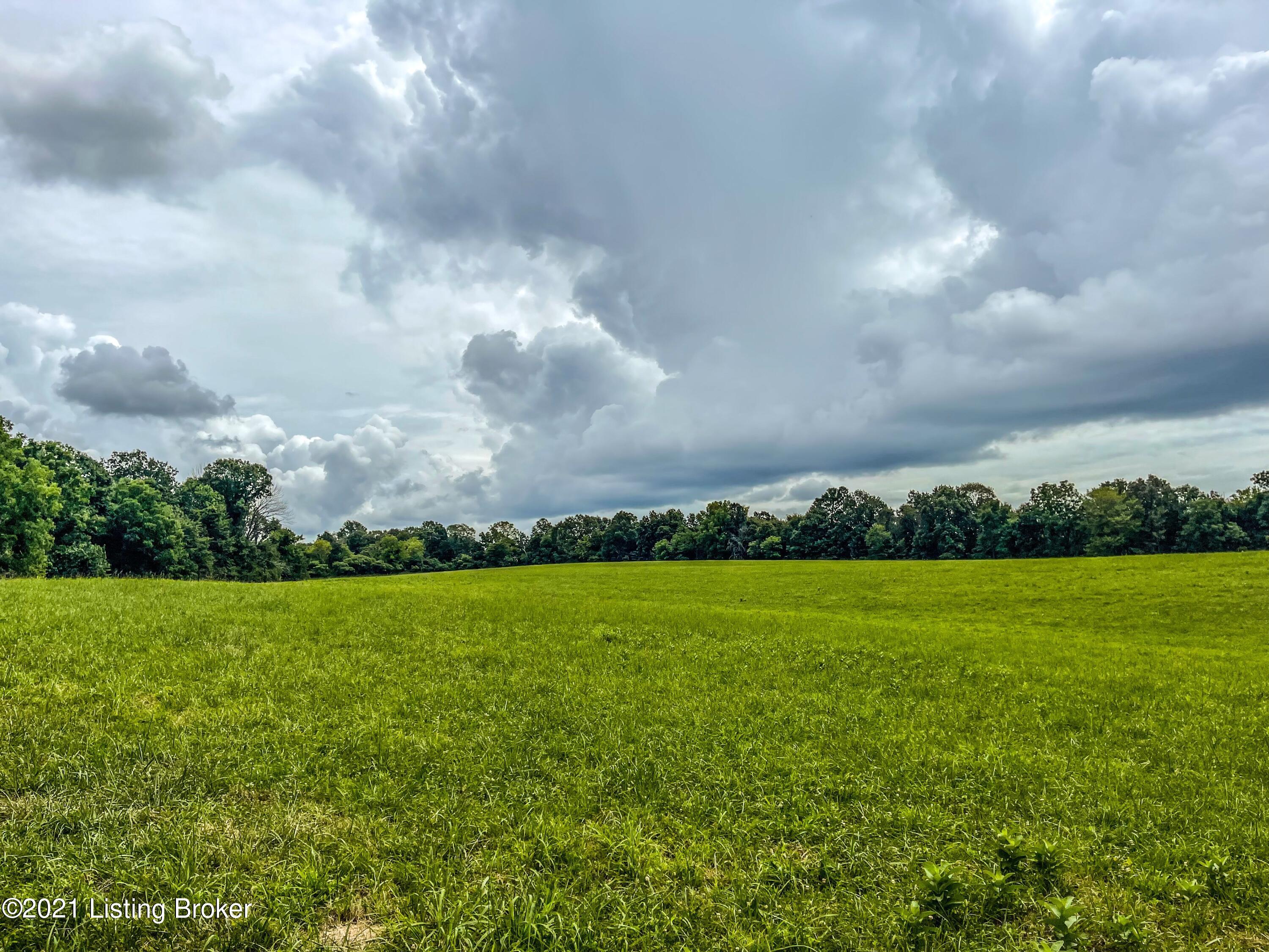 11390 Peonia Road Clarkson, KY 42726 - Photo 6 of 13 9D6C5D58-86D2-436A-8823-02E054CEB617