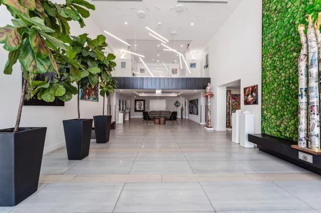 an outdoor space with plants