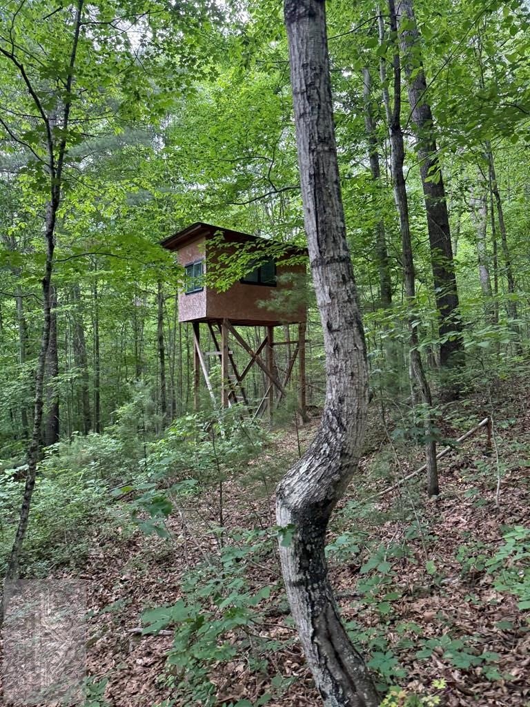 0 Fritz Run Road Ballard, WV 24918 - Photo 5 of 13 Gallery Image 5