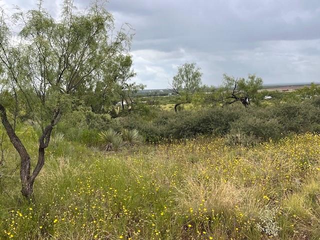 405 County Road 405 Merkel, TX 79536 - Photo 12 of 15