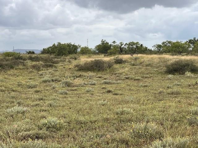 405 County Road 405 Merkel, TX 79536 - Photo 14 of 15