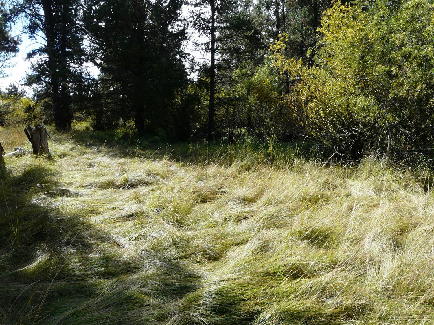 55021 Huntington Road Bend, OR 97707 - Photo 18 of 23 Gallery Image 18