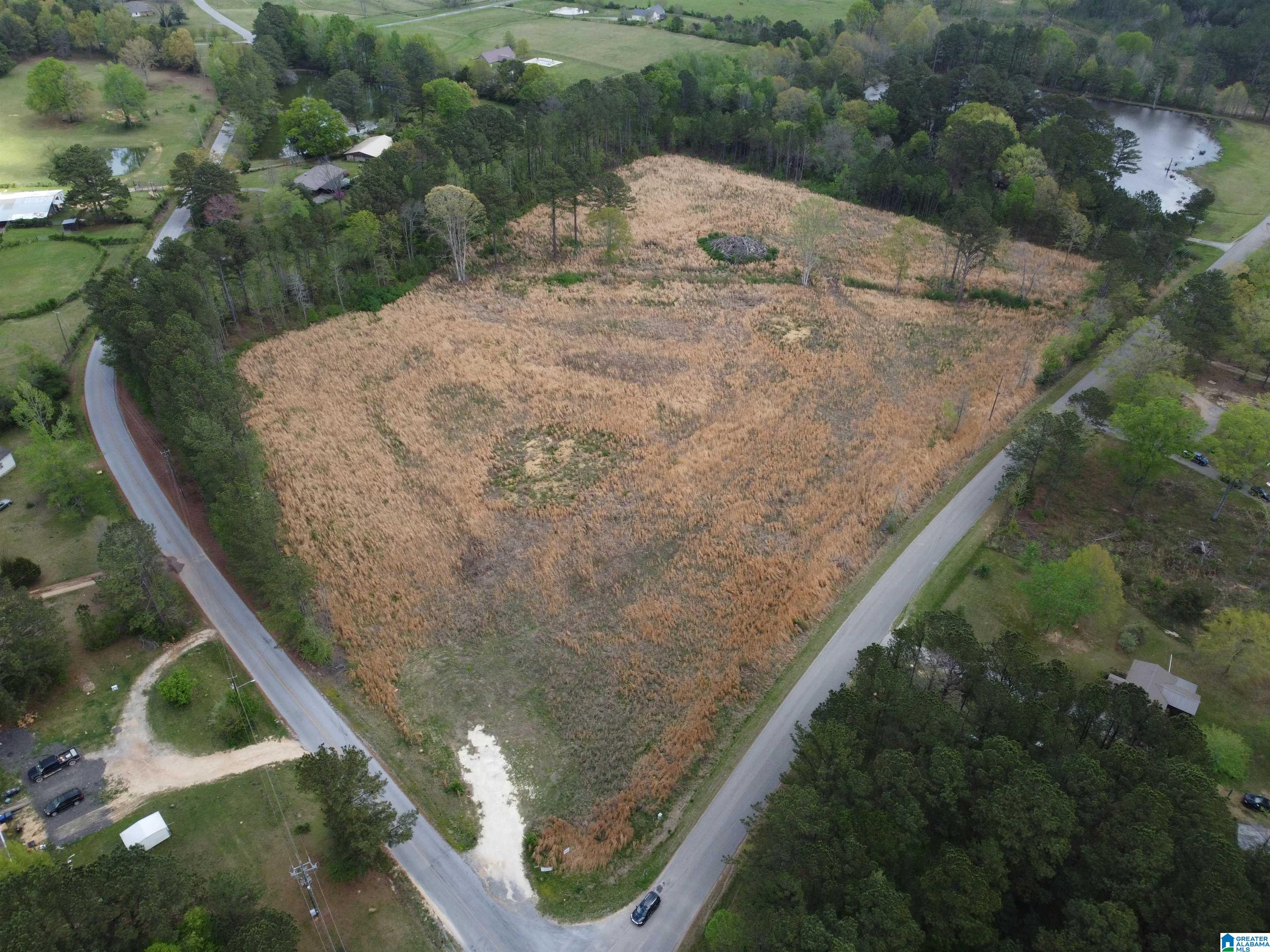 0 Greensport Road Ashville, AL 35953 - Photo 11 of 43