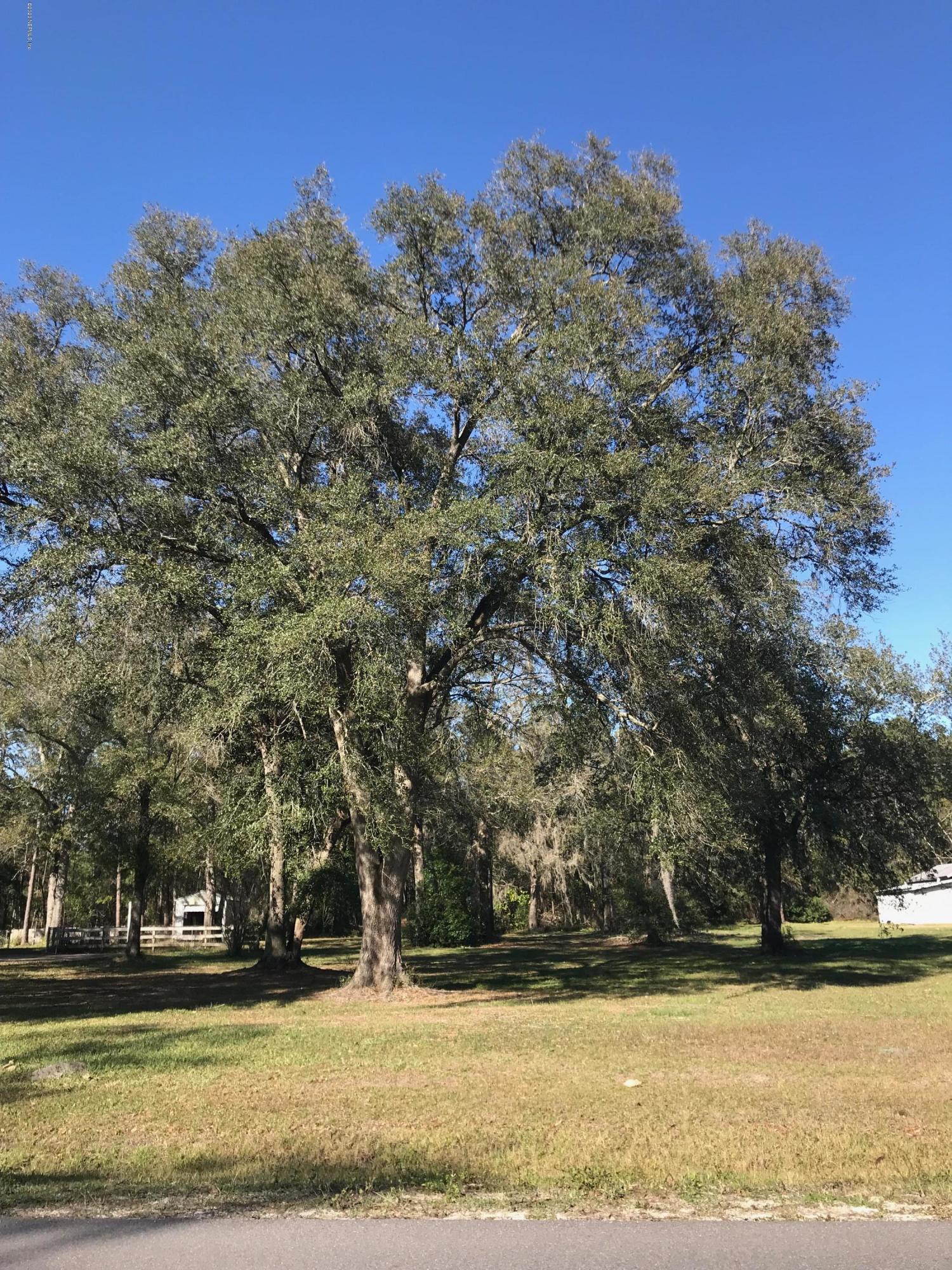 0 George Hodges Road Macclenny, FL 32063 - Photo 3 of 7 IMG-9490