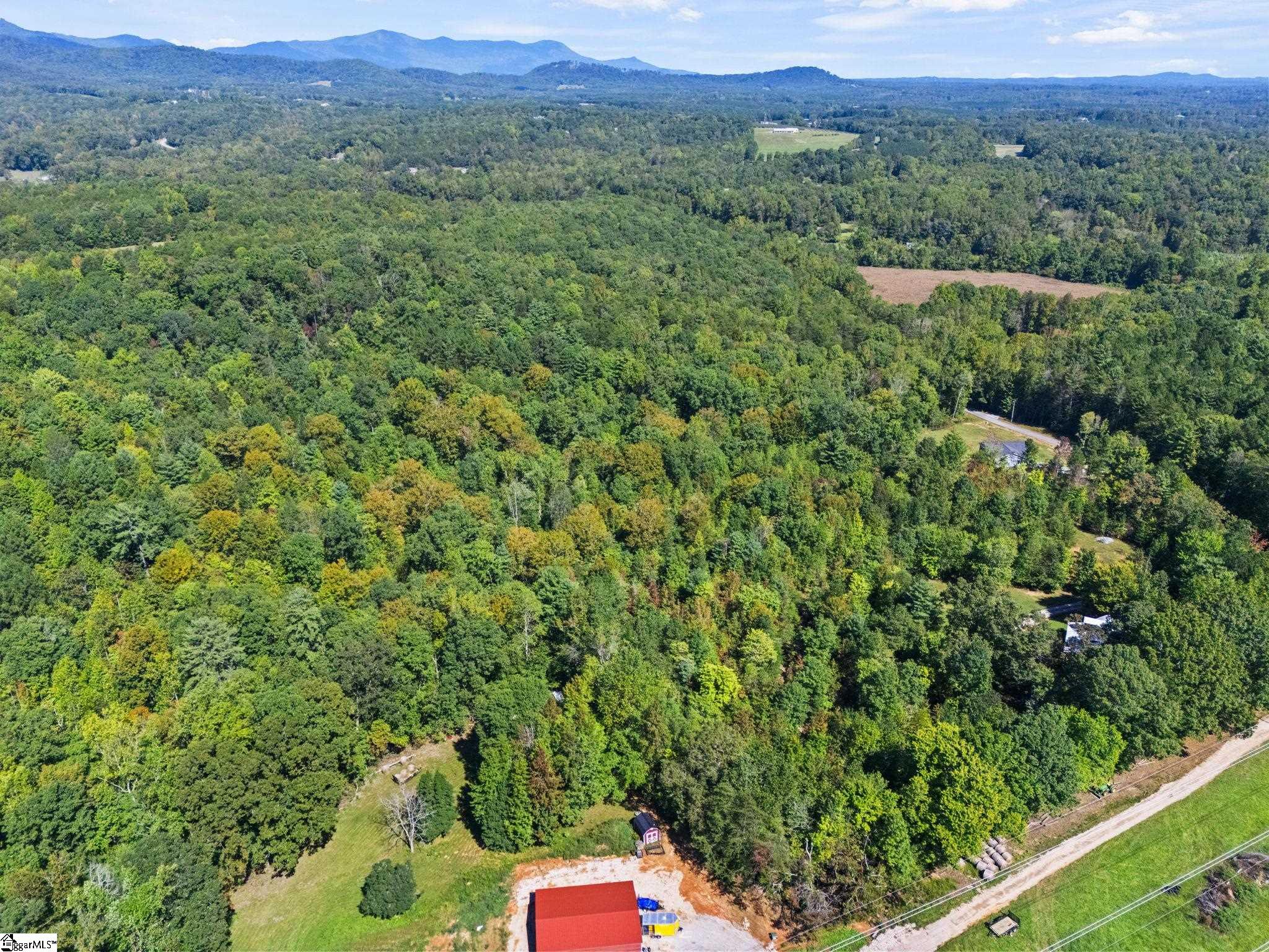 313 Arledge Road Landrum, SC 29356 - Photo 12 of 23