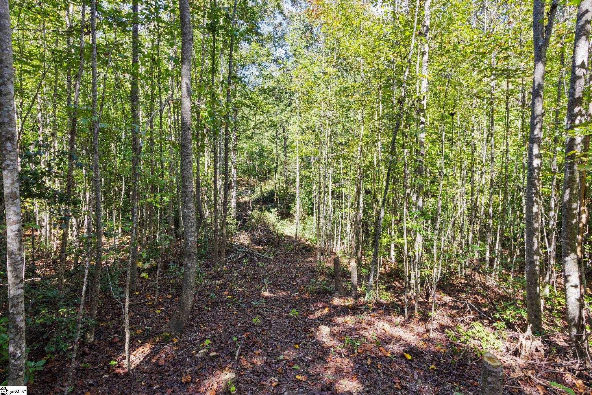313 Arledge Road Landrum, SC 29356 - Photo 17 of 23