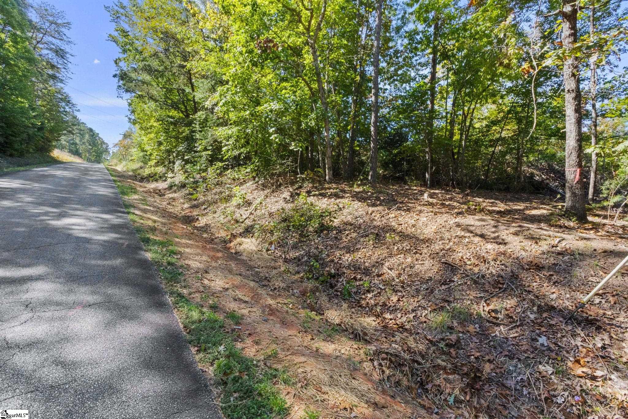 313 Arledge Road Landrum, SC 29356 - Photo 2 of 23