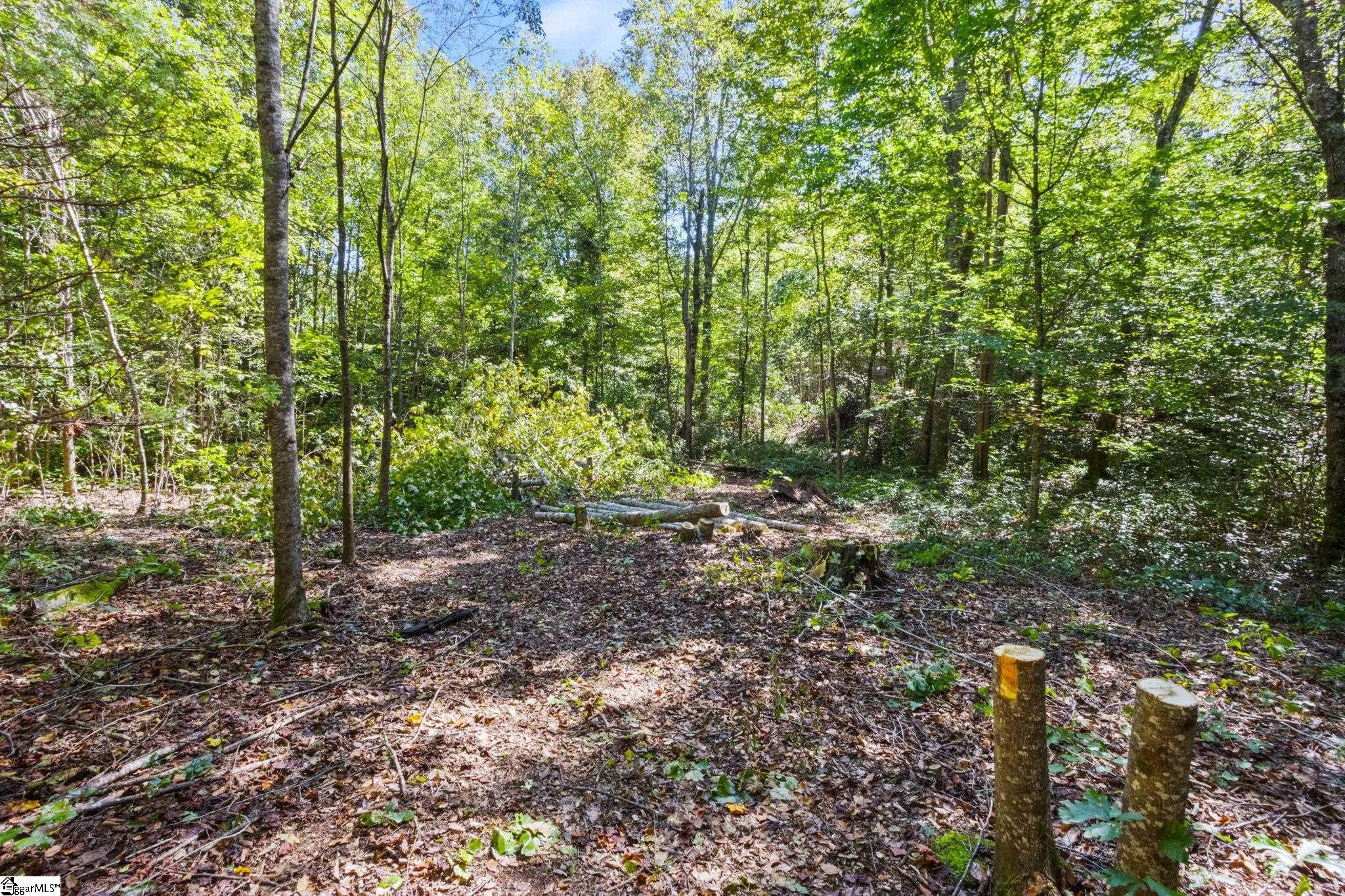 313 Arledge Road Landrum, SC 29356 - Photo 22 of 23