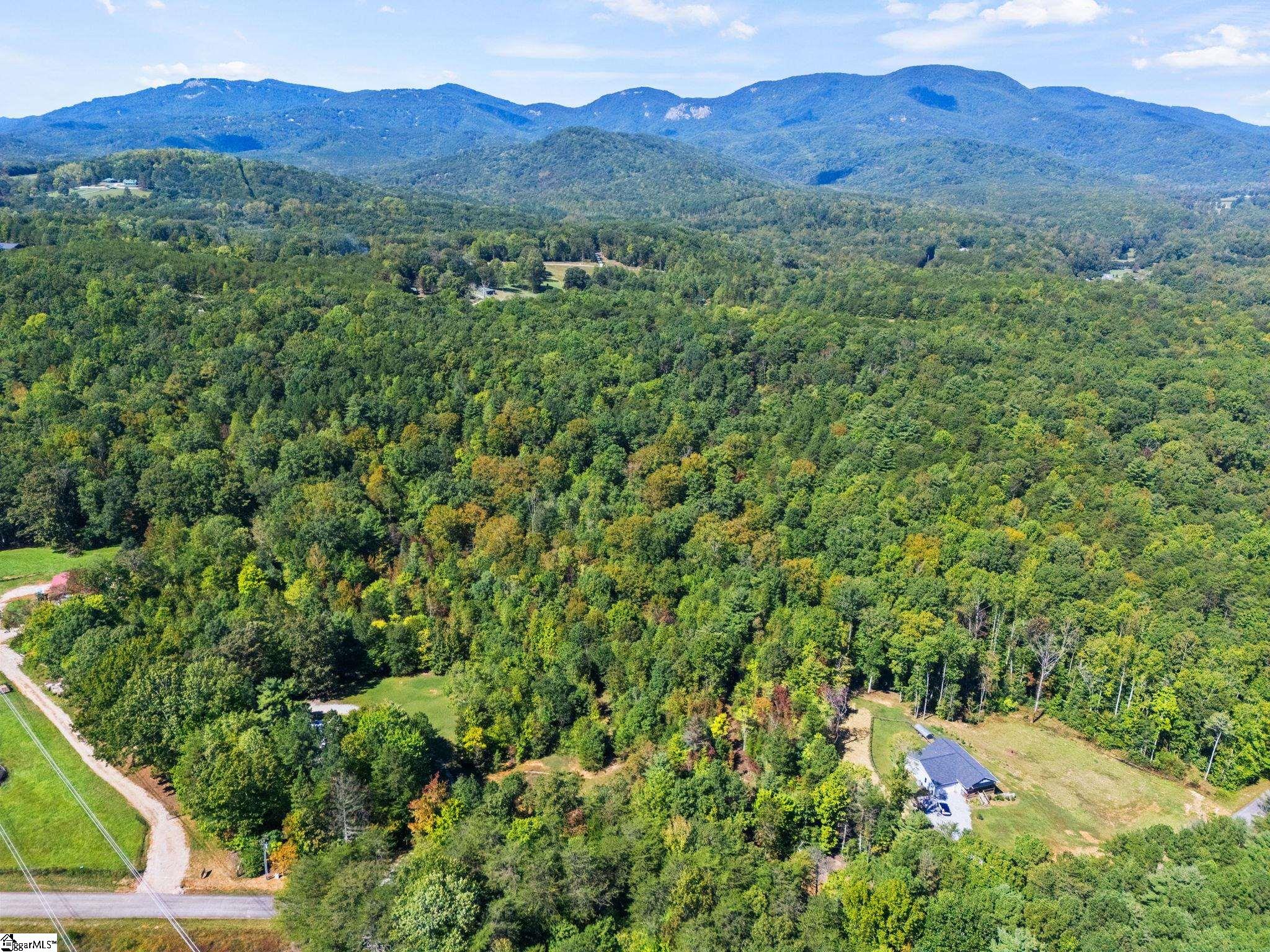 313 Arledge Road Landrum, SC 29356 - Photo 9 of 23