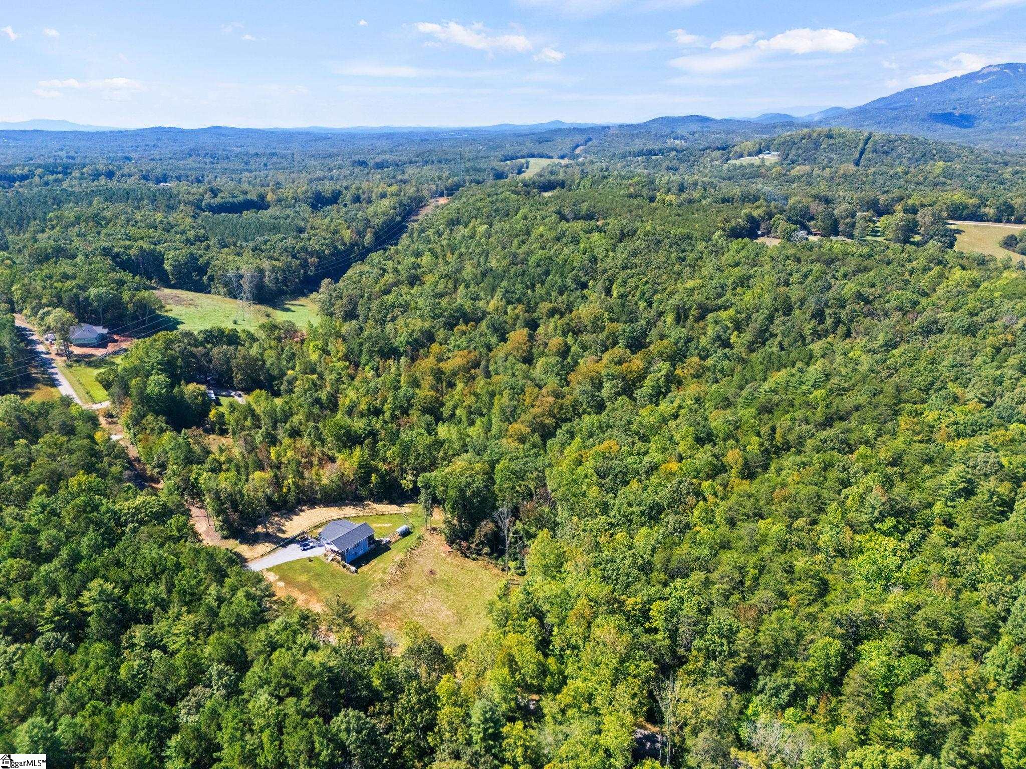 313 Arledge Road Landrum, SC 29356 - Photo 10 of 23