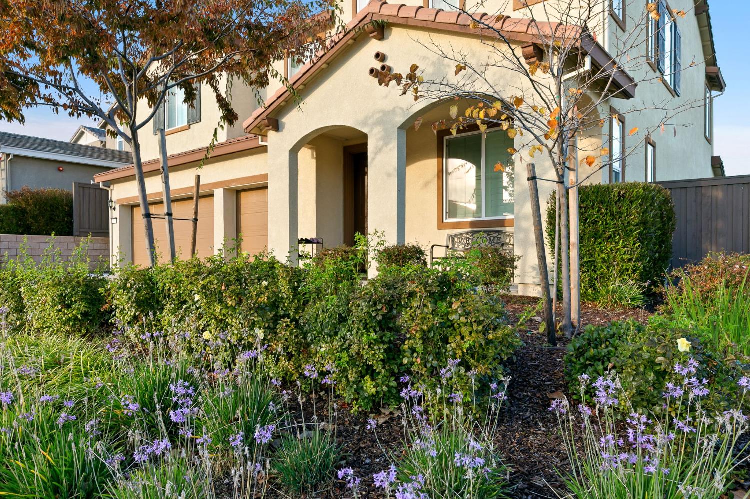 3100 Colt Court Rocklin, CA 95765 - Photo 3 of 62